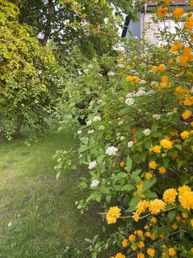 Gawramaszki - - Komfortowe Z Lazienkami I Aneksami Kuchennymi Wegorzewo
